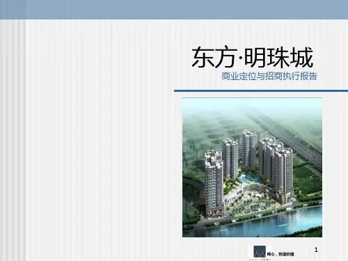 东方龙域-招商定位招商执行报告(汇总)PPT课件