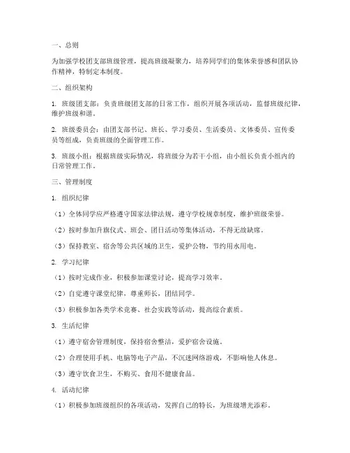 学校团支部班级管理制度