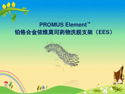 【Level 1】铂铬合金依维莫司药物洗脱支架 PROMUS Element