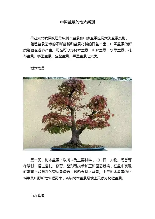 中国盆景的七大类别