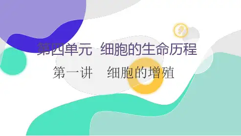 2023届高三生物一轮复习课件：第一讲 细胞的增殖之有丝分裂
