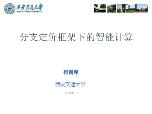 分支定价框架下的智能计算-ECOLE