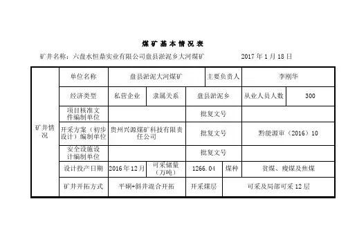 大河煤矿基本情况表