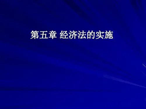 经济法的实施