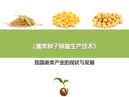 薯类种子生产概述—薯类种子生产现状与发展方向