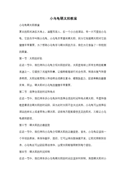 小乌龟晒太阳教案