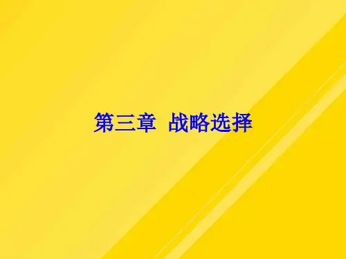 CPA企业战略与风险管理第三章第节PPT文档