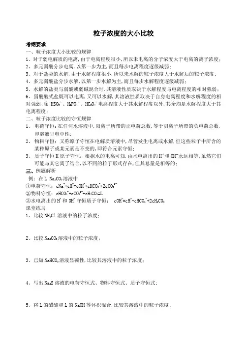 专题粒子浓度比较的大小规律