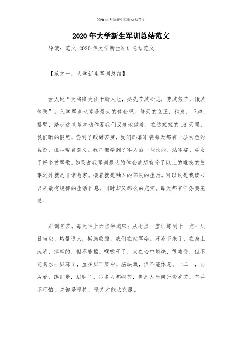 2020年大学新生军训总结范文