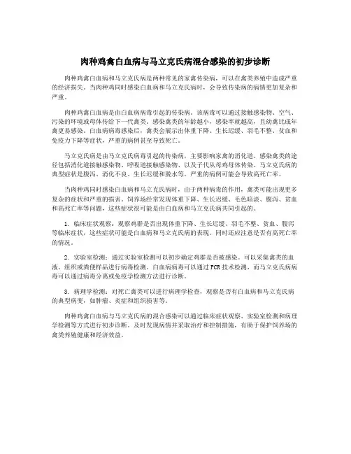 肉种鸡禽白血病与马立克氏病混合感染的初步诊断