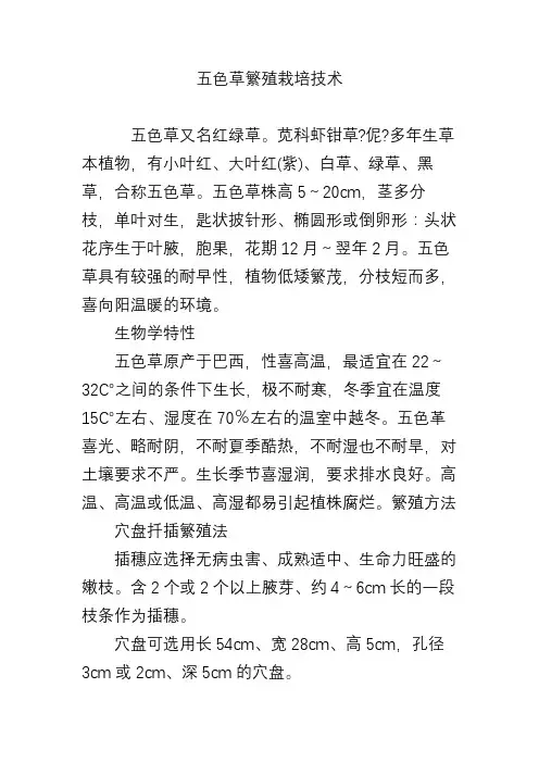 五色草繁殖栽培技术