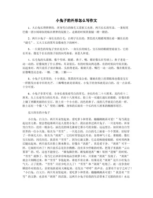 小兔子的外形怎么写作文