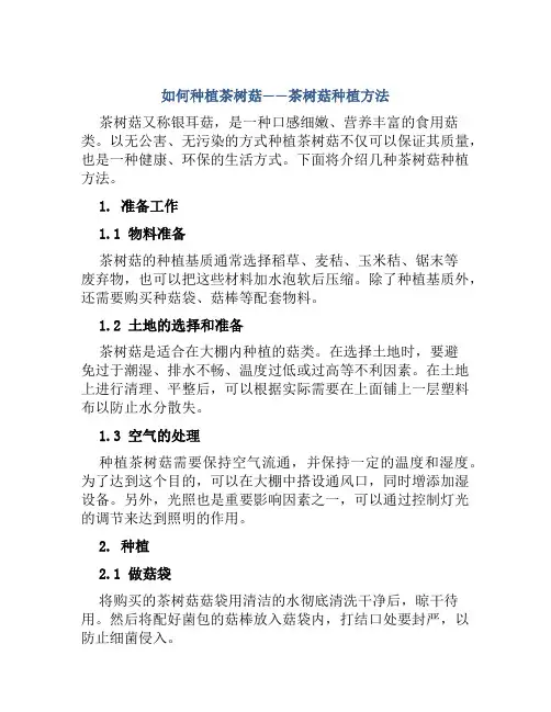 如何种植茶树菇茶树菇种植方法