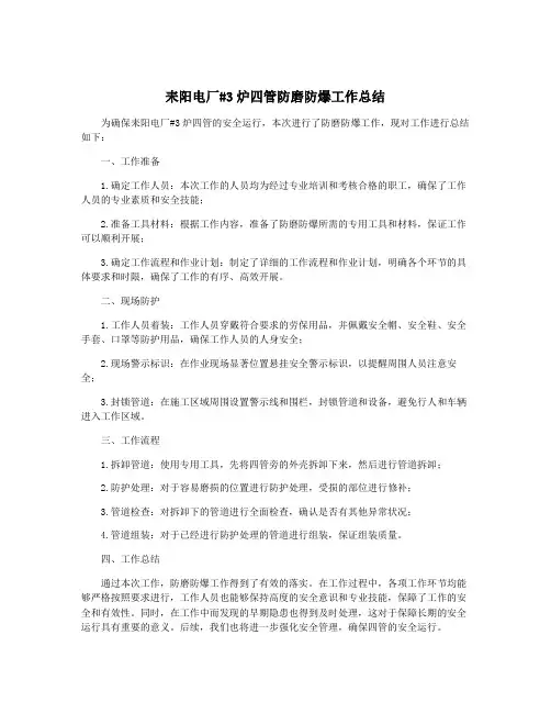 耒阳电厂#3炉四管防磨防爆工作总结