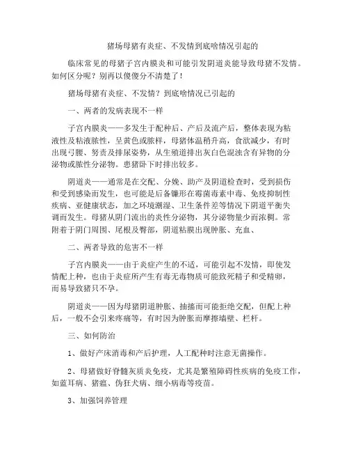 猪场母猪有炎症、不发情到底啥情况引起的