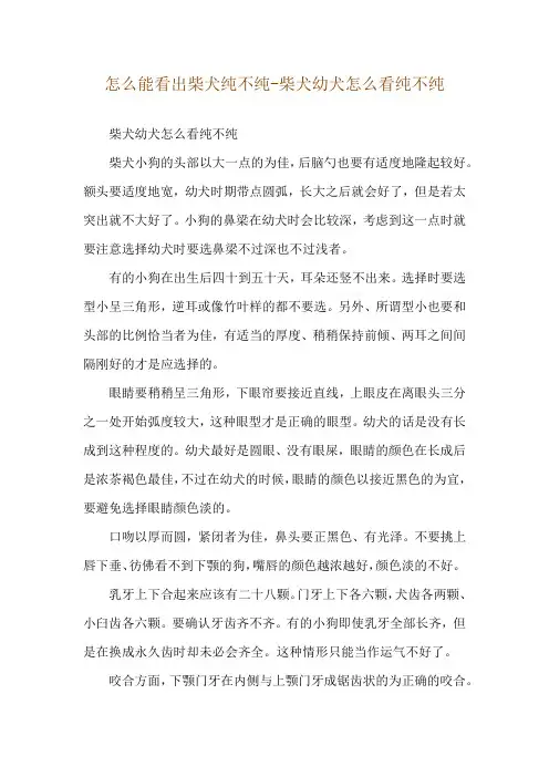 怎么能看出柴犬纯不纯-柴犬幼犬怎么看纯不纯