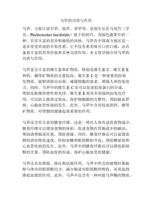 马笋的功效与作用