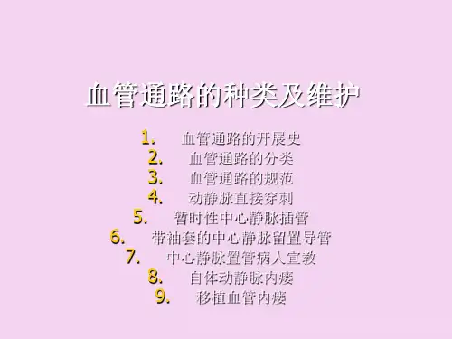 血管通路的种类及维护ppt课件