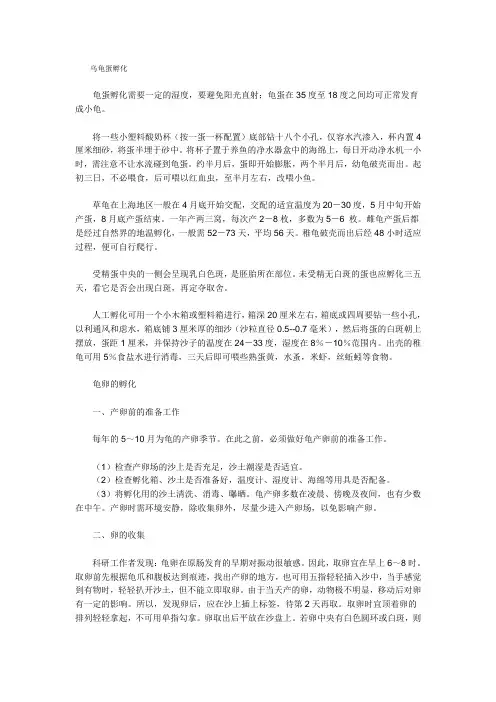 乌龟蛋孵化