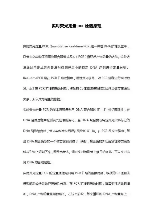 实时荧光定量pcr检测原理