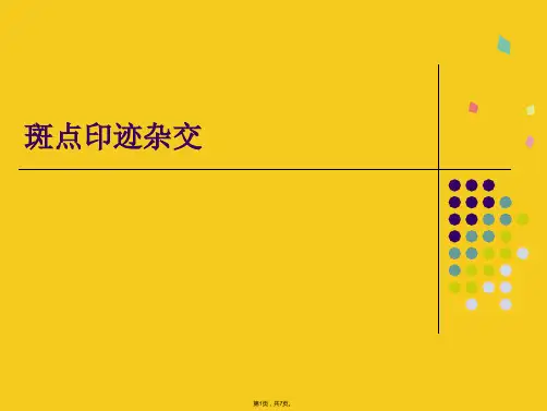 斑点印迹杂交(共7张PPT)