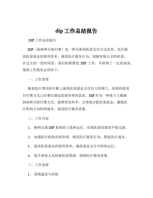 dip工作总结报告