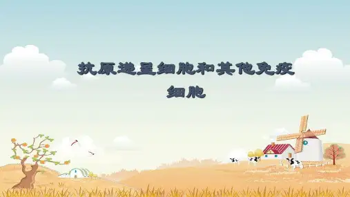 精品医学课件-- 抗原递呈细胞