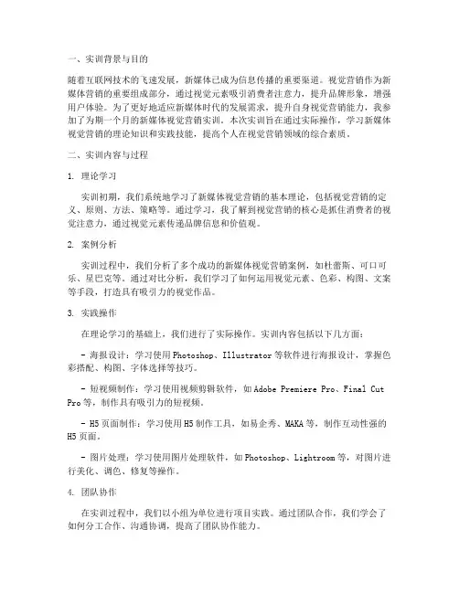新媒体视觉营销实训报告