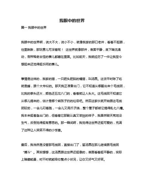 作文《我眼中的世界》
