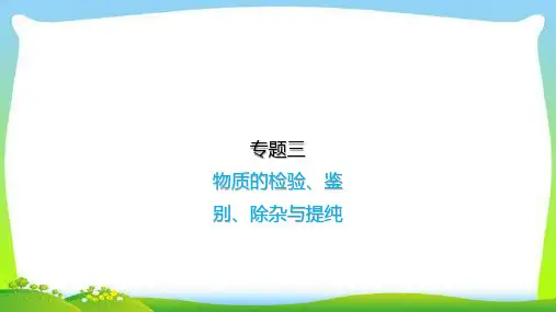 初中化学中考三物质的检验、鉴别、除杂与提纯总复习完美版