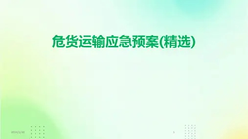 危货运输应急预案(精选)(2024)