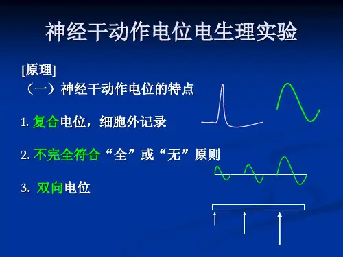 神经干动作电位电生理实验