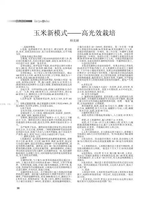 玉米新模式一高光效栽培