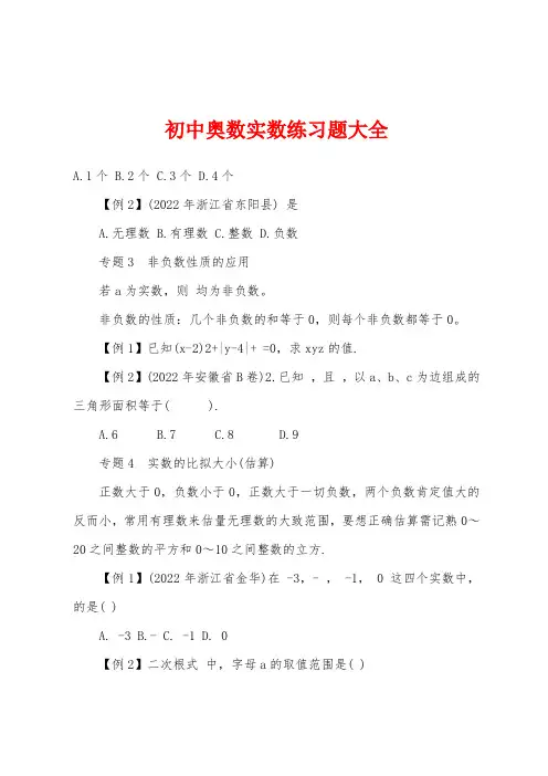 初中奥数实数练习题大全
