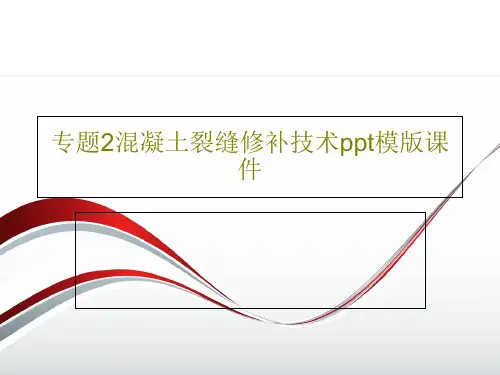 专题2混凝土裂缝修补技术ppt模版课件共29页