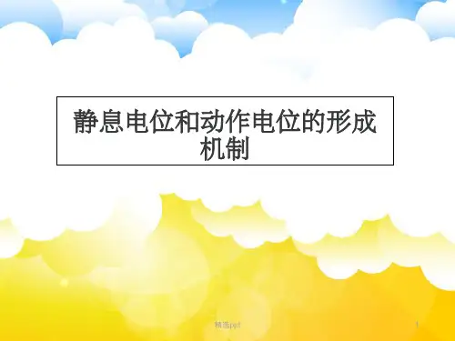 静息电位和动作电位的形成5ppt课件