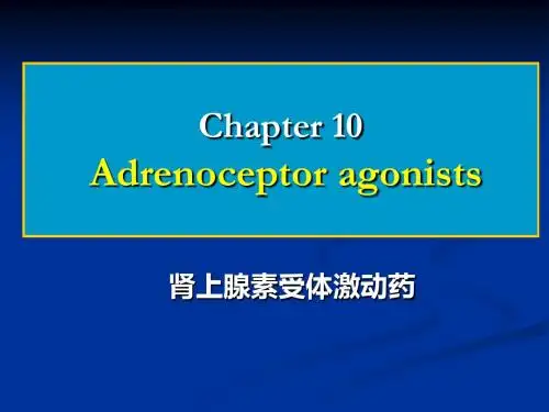 章肾上腺素受体激动药