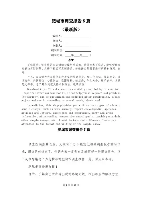 肥城市调查报告5篇