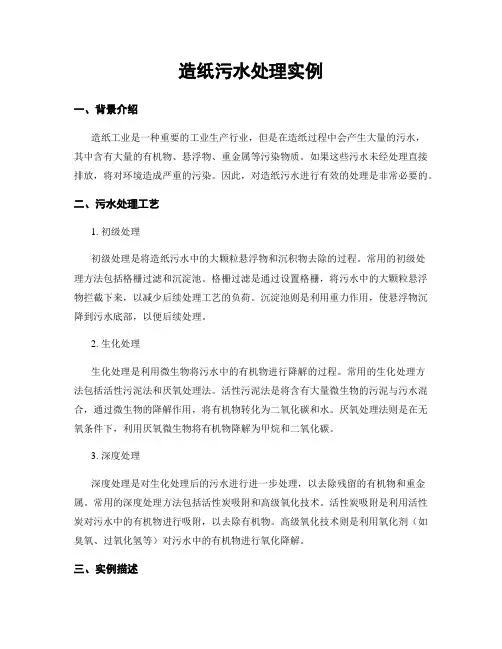造纸污水处理实例