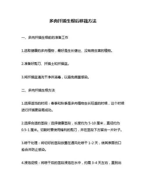 多肉扦插生根后移栽方法