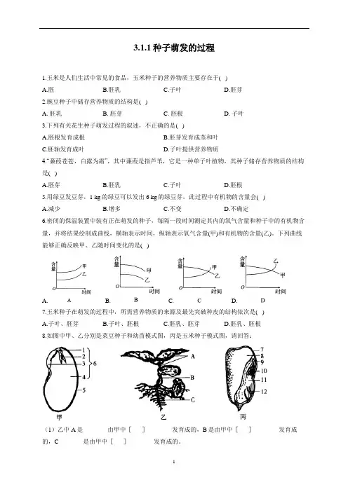3.1.1种子萌发的过程—2022-2023学年冀教版生物八年级上册同步练习(word版 含解析)