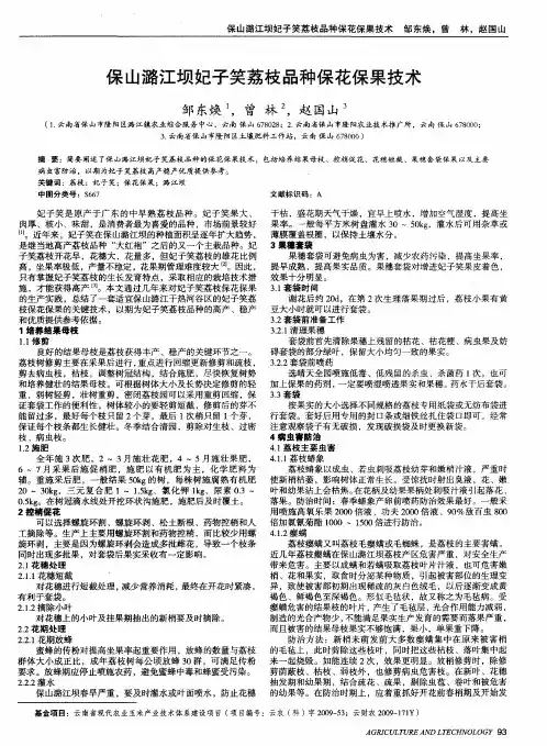 保山潞江坝妃子笑荔枝品种保花保果技术