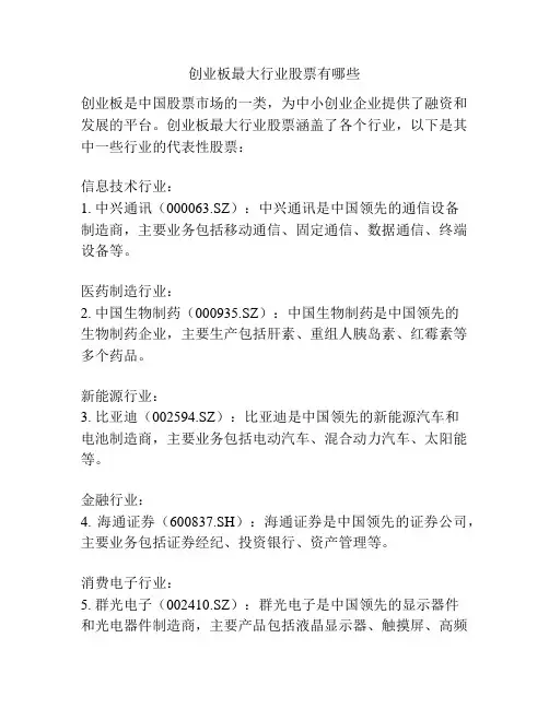 创业板最大行业股票有哪些
