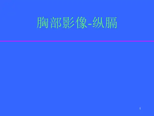 纵隔教案ppt课件