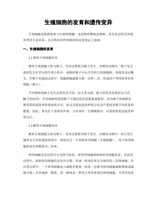 生殖细胞的发育和遗传变异