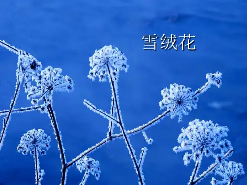 人教版六年级音乐上册：《雪绒花》课件2.ppt