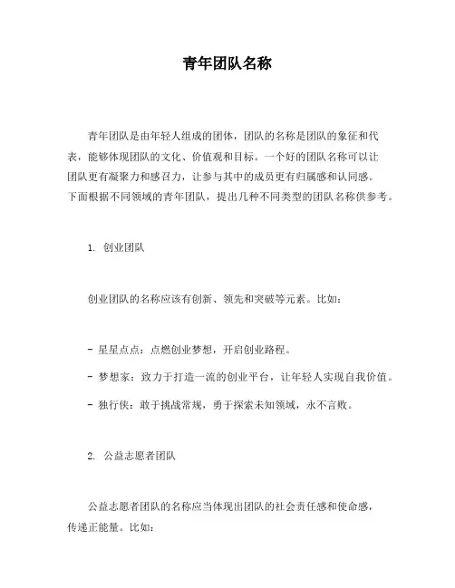 青年团队名称