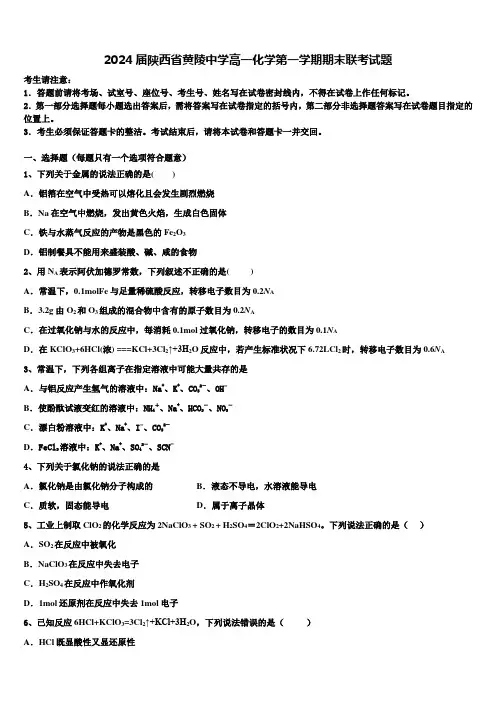 2024届陕西省黄陵中学高一化学第一学期期末联考试题含解析