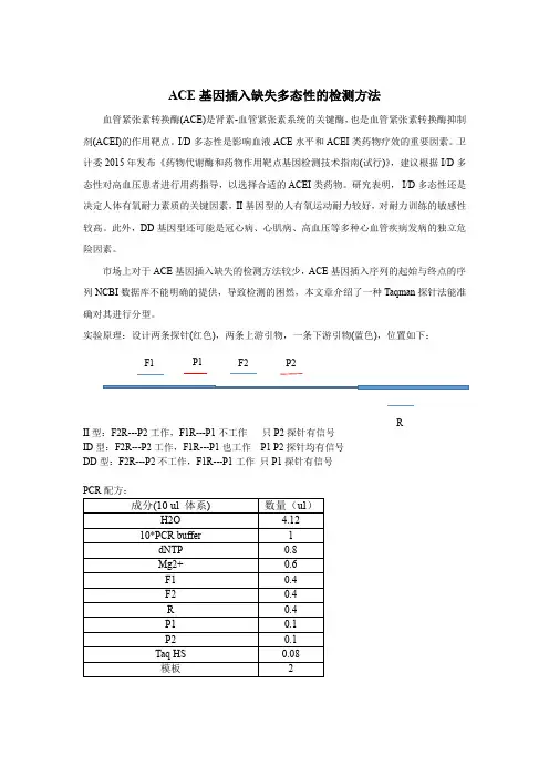 ACE基因插入缺失多态性的检测方法