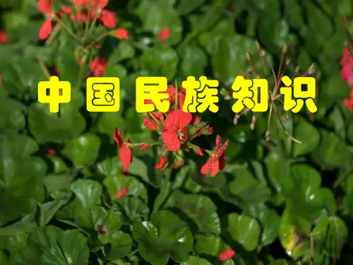 中国各个民族常识